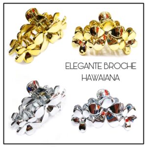 BROCHES