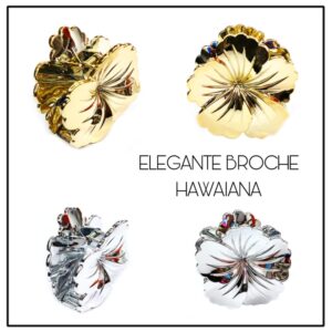 BROCHES