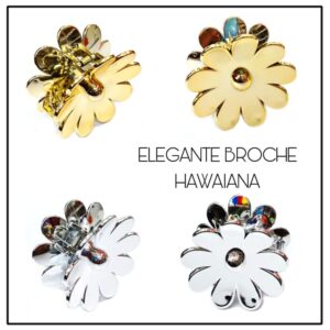 BROCHES