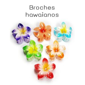 PAQUETE DE BROCHE