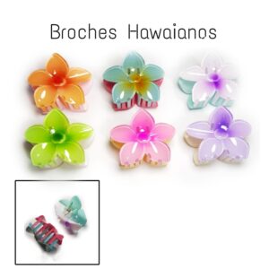PAQUETE DE BROCHE