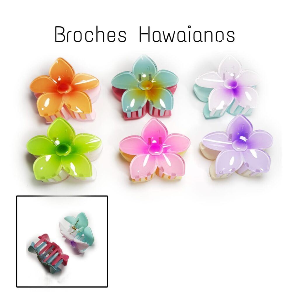 PAQUETE DE BROCHE