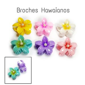 PAQUETE DE BROCHE
