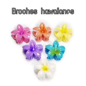 PAQUETE DE BROCHES